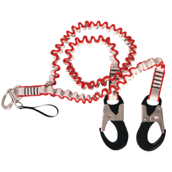 Cordon ombilical en forme de Y