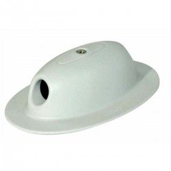 œillet Victory Ceredi