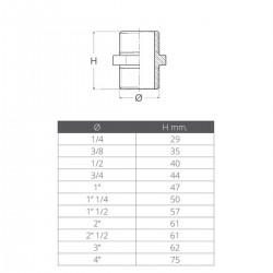 Double mâle sans tétons - mâle 2
