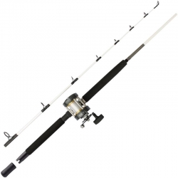 Canne à pêche à la traîne Mitchell Performance Combo SW 15/40 LB + moulinet RH