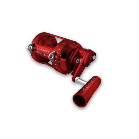 Moulinet double vitesse Alutecnos Albacore 30W 2S