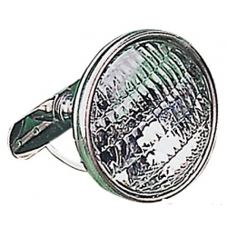 Spot réglable en acier inoxydable 12 V