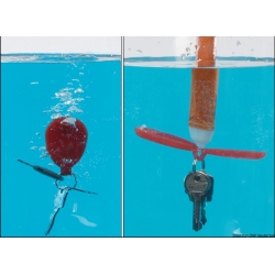 Porte-clés flottant breveté 2426