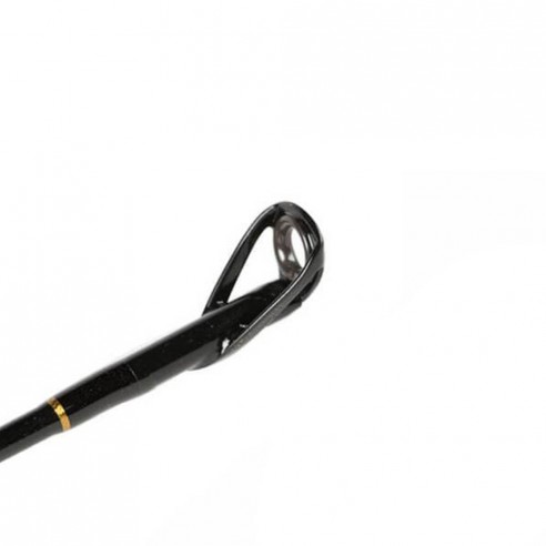 PENN Ally Boat 20/50 LBs Canne à...