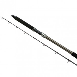 Shimano SpeedMaster DD7650 canna da spinning