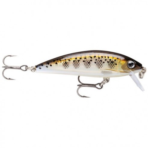 Rapala X-Rap Countdown 07 10 g leurre artificiel