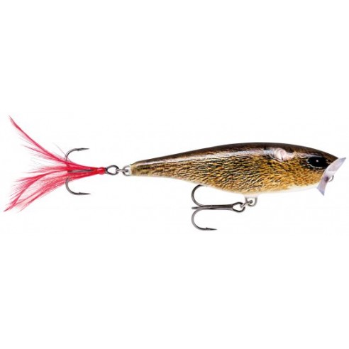 Rapala Skitter Pop 05 6 g leurre artificiel