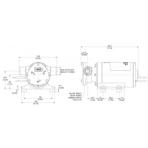 Pompe de cale Jabsco 23670-4003 - Junior Puppy 12 V 2