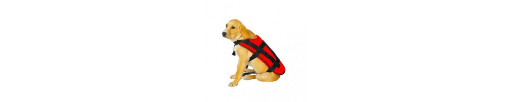 Gilet de sauvetage pour chien - Acheter les meilleurs produits | HiNelson