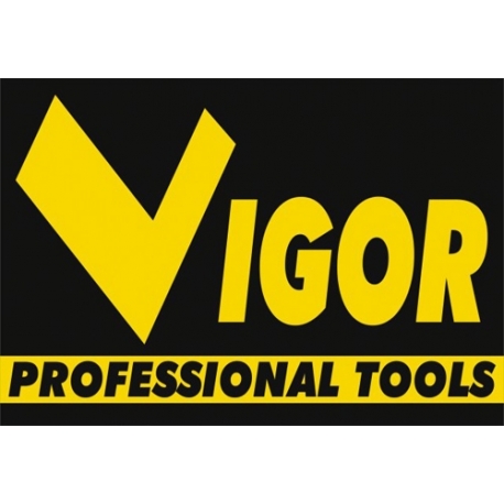 VIGOR
