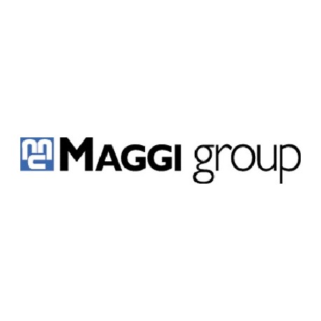 Maggi Group